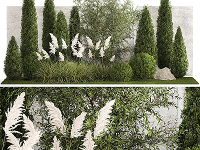 Garden Shrubs With White Feathery Plants Coniferous Trees Green Foliage And Stone Wall 3d model