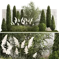 Garden Shrubs With White Feathery Plants Coniferous Trees Green Foliage And Stone Wall