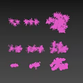 Beautiful Flowers And Plants Featuring Pink Purple Blooms Slender Leaves And Sunlit Shadows