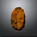 Orange Kiwano Fruit With Spiky Exterior And Black Protrusions On Gray Background With Reflection