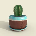 Three Indoor Decorative Cactus Bonsai Plants in Blue Brown Ceramic Pots with Patterns