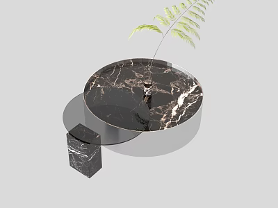 Sleek Round Coffee Table with Black Marble Top and Decorative Fern Plant 3d model