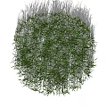 Vibrant Green Natural Grass With Irregular Shape And Soft Shadow