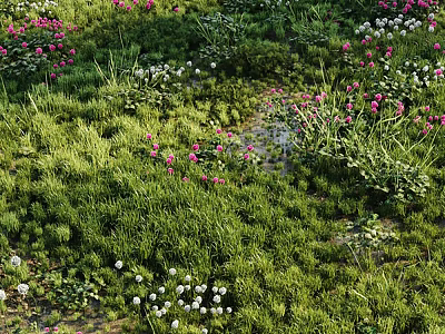 Vibrant Colorful Flowers And Lush Green Grass In A Natural Meadow With Pink White Blooms 3d model