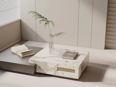 Modern Sofa Coffee Table Set With Marble Top Green Plant And Books 3d model