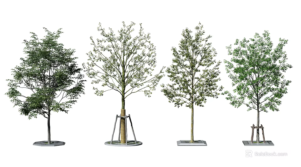 Tree Planter Designs With Support Stakes And Various Tree Species 3d model
