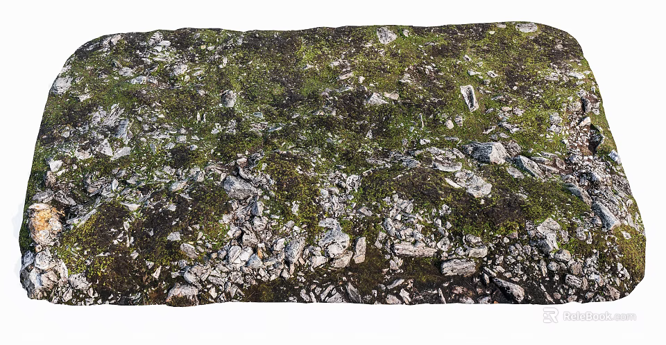 Natural Stone And Wood Ground Covered With Green Moss In Outdoor Area 3d model 