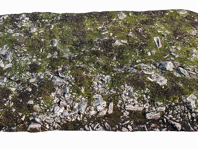 Natural Stone And Wood Ground Covered With Green Moss In Outdoor Area 3d model