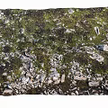 Natural Stone And Wood Ground Covered With Green Moss In Outdoor Area