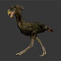 Prehistoric Flying Bird 3D Model with Standing Posture Detailed Feathers and Large Beak on Dark Background