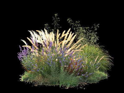 Lush Garden Shrubs With White And Purple Flowers Green And Tall Grasses On Black Background 3d model