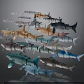 Various Colored Sharks Displayed in Layered Arrangement on Gray Background