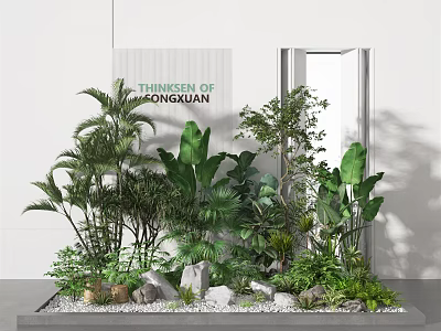 Indoor Green Plants Arrangement With Tropical Foliage Stones And White Background 3d model