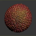 Fresh Red Lychee Fruit With Rough Texture On Dark Reflective Surface 3d model