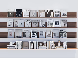 Modern Books and Magazines 3d model