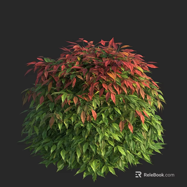 Lush Ornamental Shrub With Rounded Shape And Vibrant Red Green Leaves 3d model 