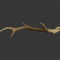Natural Deer Antler With Brown Texture And Shiny Surface On Black Background 3d model