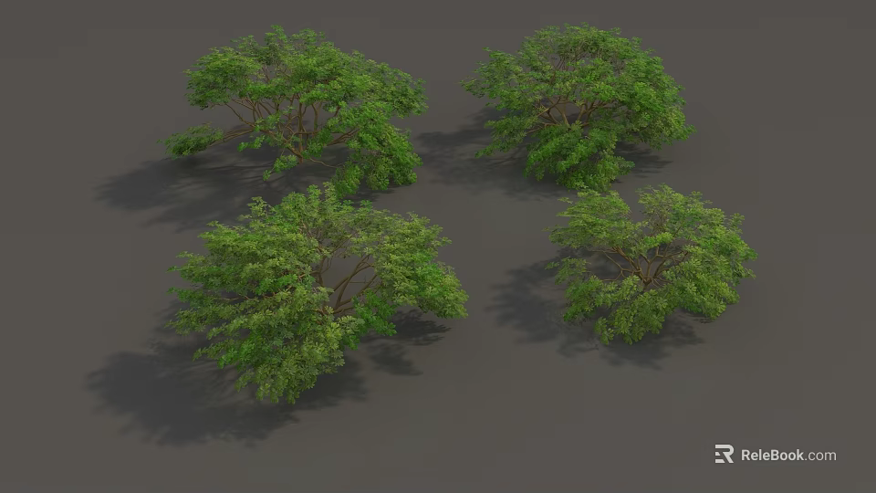 Lush Green Arbor Trees With Dense Foliage And Spreading Canopy 3d model