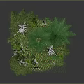 Various Green Trees With White Trunks And Different Heights Display Model Featuring Small White Elements 3d model