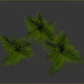 Green Palm Plants in Black White and Green Pots on Gray Background