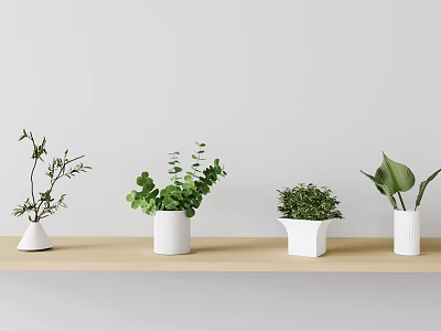 Decorative Indoor Potted Plants on Wooden Shelf with Various Green Leaves and White Pots 3d model