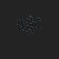 Snow Covered Tall Arbor Trees Standing With Green Branches Against Black Background