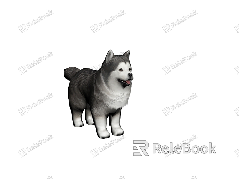 Dog Husky model