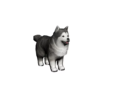 Cute Husky Dog With Gray And White Fur Standing On White Background 3d model