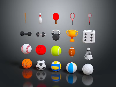 Sports Equipment Collection Including Various Balls Rackets Dumbbells Trophy And Bowling Pin 3d model