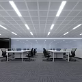 Modern Public Office Space With Desks Office Chairs Ceiling Lights And Open Layout 3d model