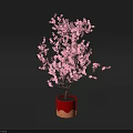 Pink Flowering Potted Plant With Red Decorative Pot And Lush Blooms