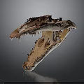 Detailed Dinosaur Skull Organ Anatomy With Sharp Teeth And Hair Traces