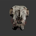 Detailed Animal Skull Adorned With Red Threads On Dark Reflective Surface 3d model