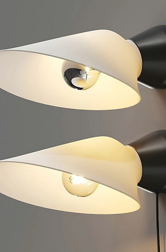 DCW Editions feather wall lamp 3d model