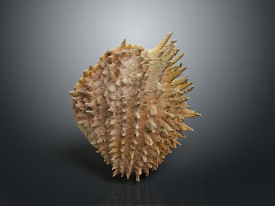 Biological Organ Structure With Hair Like Spines And Textured Surface 3d model