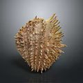 Biological Organ Structure With Hair Like Spines And Textured Surface