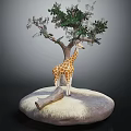 Spotted Giraffe Standing Under Green Leaf Tree On Circular Natural Base With Grass And Log