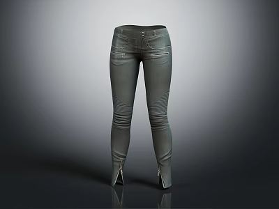 Stylish Dark Slim Fit Pants With Zipper Details And Fitted Design 3d model