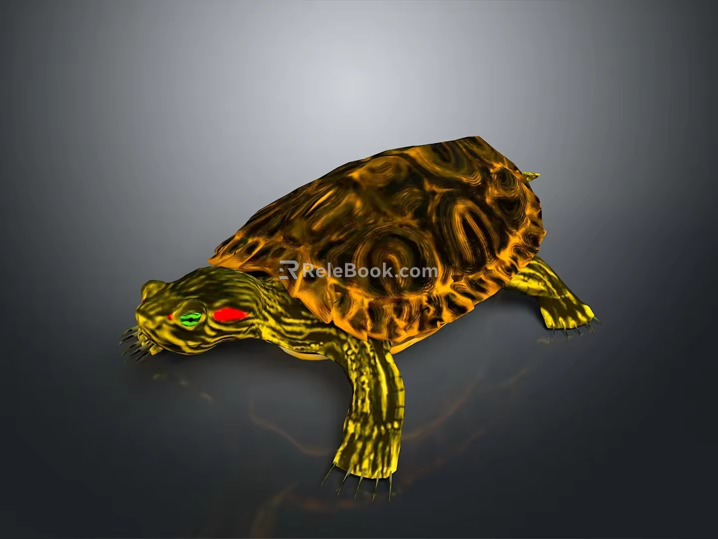 Turtle Cartoon Turtle Snapping Turtle Chickbill Turtle Reptile Cold Blooded Animal Reptile Class 3d model