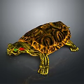 Turtle Cartoon Turtle Snapping Turtle Chickbill Turtle Reptile Cold Blooded Animal Reptile Class 3d model