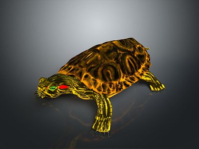 Turtle Cartoon Turtle Snapping Turtle Chickbill Turtle Reptile Cold Blooded Animal Reptile Class 3d model