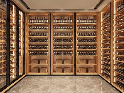 Luxury Modern Wine Cellar With Lit Racks And Wine Bottles 3d model