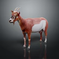 Brown and White Goat Standing with Horns on Dark Background with Reflection 3d model