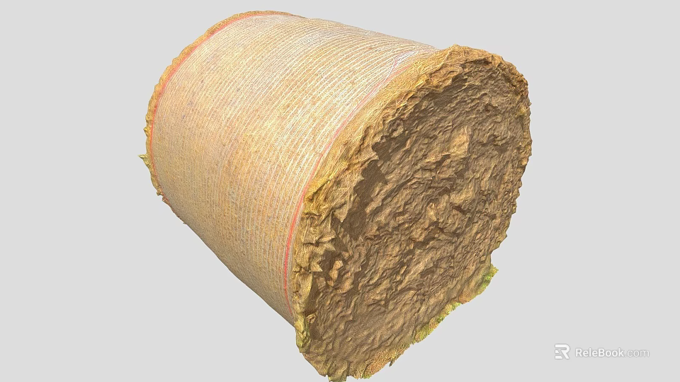 Cylindrical Agricultural Hay Bale With Woven Covering And Textured Surface 3d model 