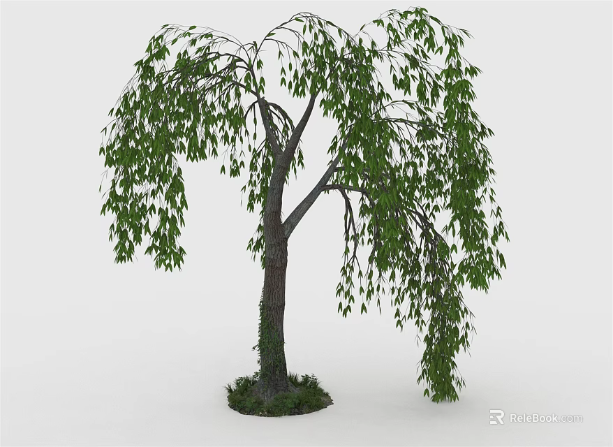 Healthy Weeping Willow Tree With Long Hanging Branches Green Leaves And Grass Around Trunk 3d model 