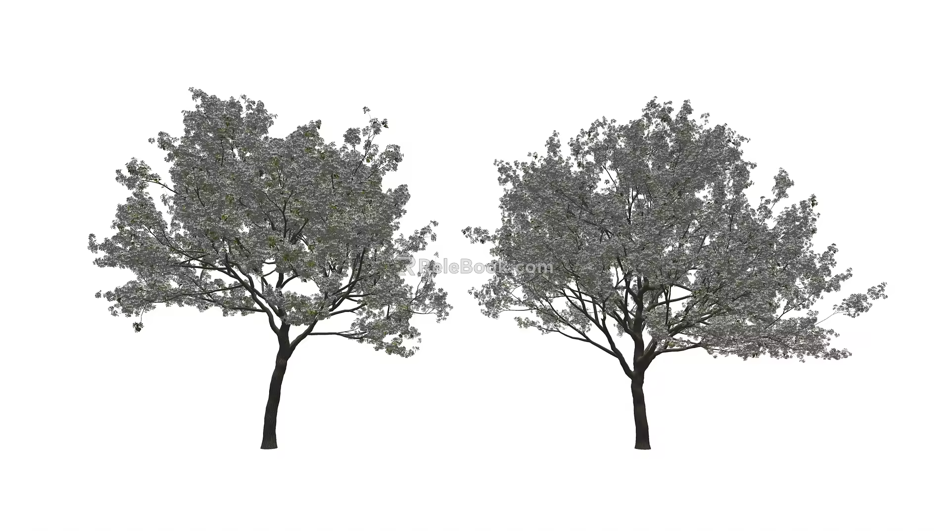 Modern Cherry Tree Landscape Tree 3d model