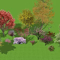 Multicolored Trees With Different Heights And Shapes On Green Lawn With Shrubs