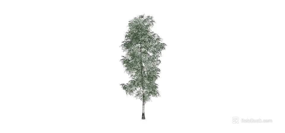 Tall Arbor With Green Foliage And White Trunk In Natural Landscape 3d model 