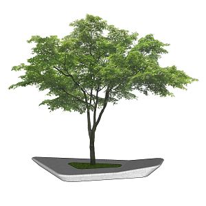 modern tree pool geometric shaped tree pool 3d model