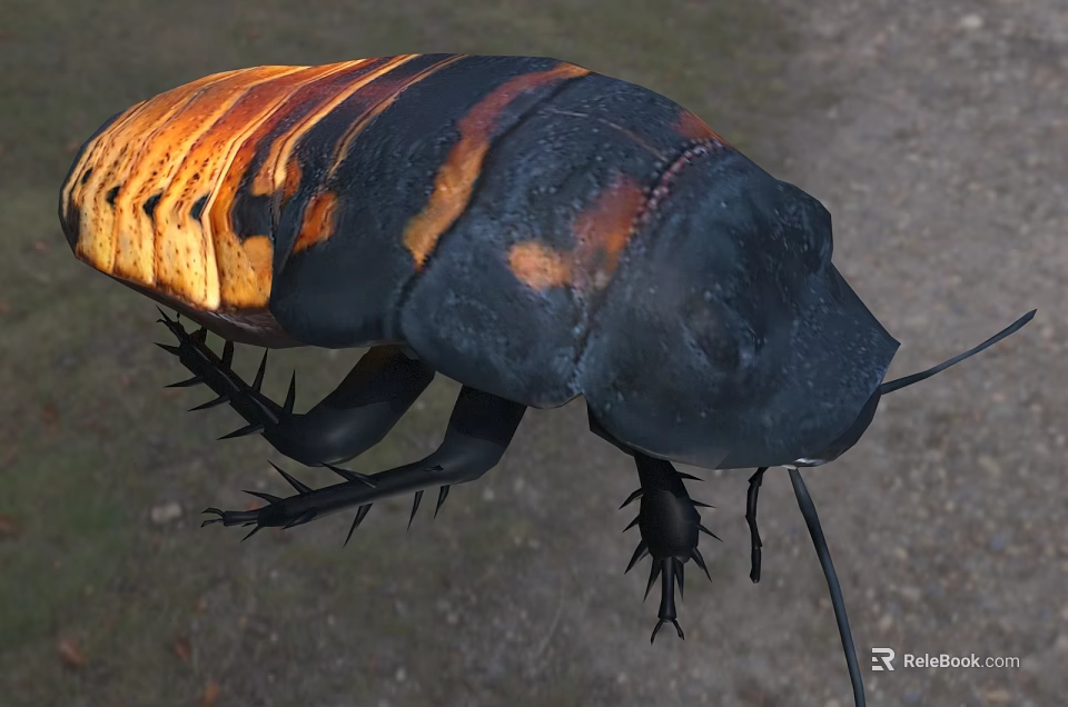 Black And Orange Reptile With Scaled Body And Long Legs In Natural Habitat 3d model 